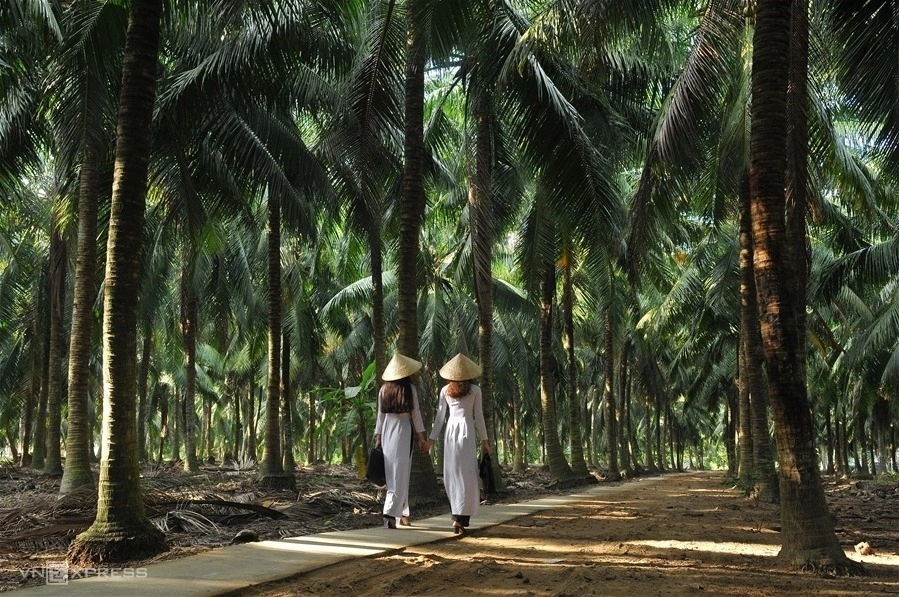 Ben Tre : 10 arrêts bucoliques au fil de l'eau pour une expérience authentique